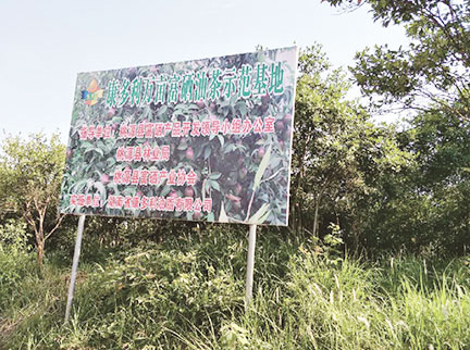 BC贷(中国区)官方网站