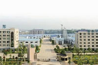 BC贷网址入口,油茶种植出产加工销售,植物油种植出产加工销售