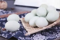 BC贷网址入口,油茶种植出产加工销售,植物油种植出产加工销售