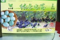 BC贷网址入口,油茶种植出产加工销售,植物油种植出产加工销售