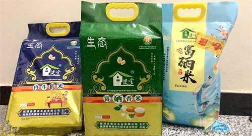 BC贷网址入口,油茶种植出产加工销售,植物油种植出产加工销售