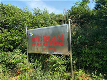 BC贷网址入口,油茶种植出产加工销售,植物油种植出产加工销售