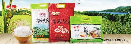 BC贷网址入口,油茶种植出产加工销售,植物油种植出产加工销售