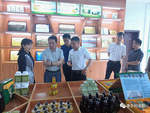 BC贷网址入口,油茶种植出产加工销售,植物油种植出产加工销售